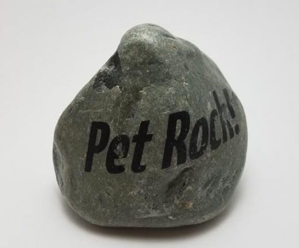 Pet Rock