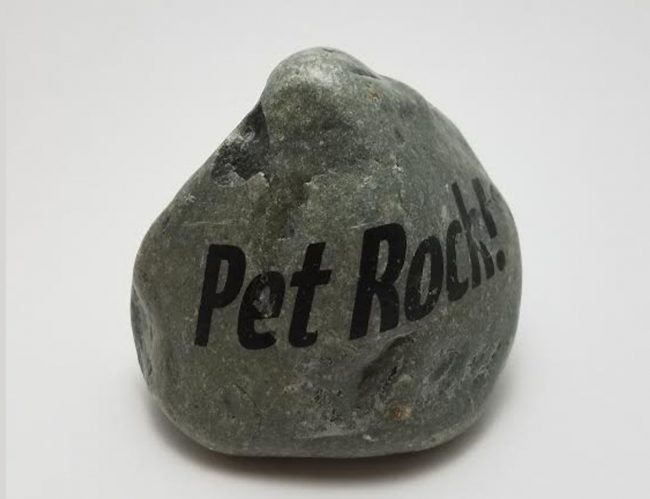 Original Pet Rock