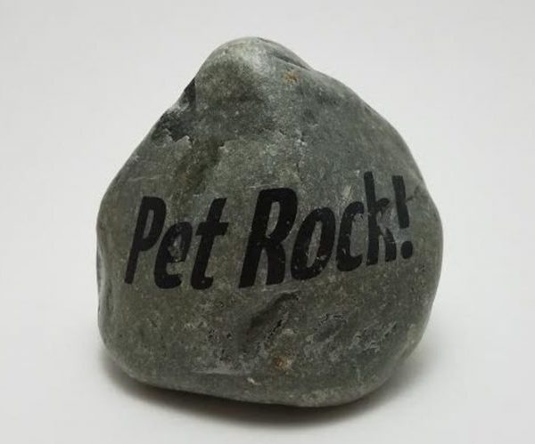 Pet Rock