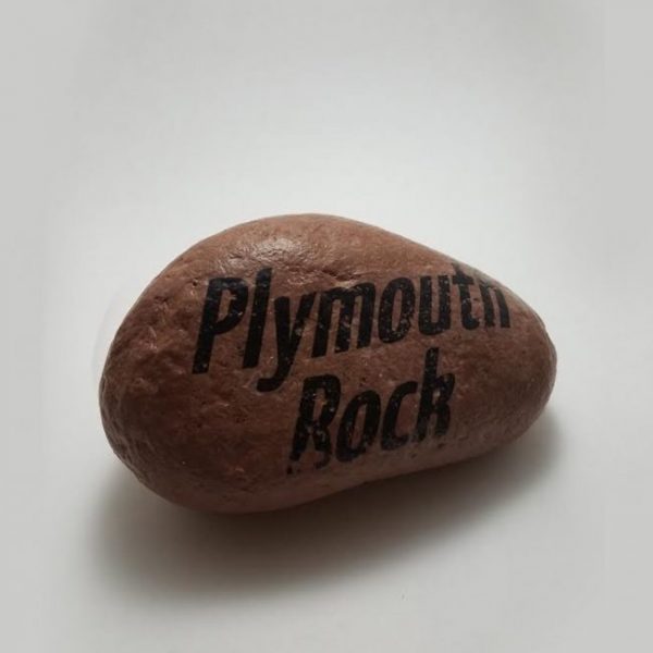 Plymouth Rock